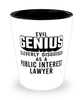 Funny Public Interest Lawyer Shot Glass Evil Genius Cleverly Disguised As A Public Interest Lawyer