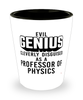 Funny Professor of Physics Shot Glass Evil Genius Cleverly Disguised As A Professor of Physics