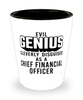 Funny Chief Financial Officer Shot Glass Evil Genius Cleverly Disguised As A Chief Financial Officer