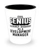 Funny Development Manager Shot Glass Evil Genius Cleverly Disguised As A Development Manager