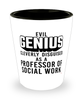 Funny Professor of Social Work Shot Glass Evil Genius Cleverly Disguised As A Professor of Social Work
