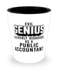 Funny Public Accountant Shot Glass Evil Genius Cleverly Disguised As A Public Accountant
