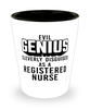 Funny RN Shot Glass Evil Genius Cleverly Disguised As A Registered Nurse