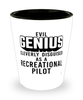 Funny Recreational Pilot Shot Glass Evil Genius Cleverly Disguised As A Recreational Pilot