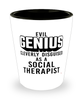 Funny Social Therapist Shot Glass Evil Genius Cleverly Disguised As A Social Therapist