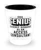 Funny Access Consultant Shot Glass Evil Genius Cleverly Disguised As An Access Consultant