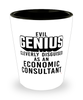 Funny Economic Consultant Shot Glass Evil Genius Cleverly Disguised As An Economic Consultant