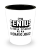 Funny Archaeologist Shot Glass Evil Genius Cleverly Disguised As An Archaeologist