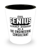 Funny Fire Engineering Consultant Shot Glass Evil Genius Cleverly Disguised As A Fire Engineering Consultant