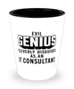 Funny IT Consultant Shot Glass Evil Genius Cleverly Disguised As An IT Consultant