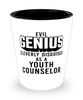 Funny Youth Counselor Shot Glass Evil Genius Cleverly Disguised As A Youth Counselor