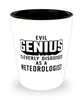 Funny Meteorologist Shot Glass Evil Genius Cleverly Disguised As A Meteorologist