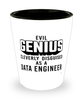 Funny Data Engineer Shot Glass Evil Genius Cleverly Disguised As A Data Engineer