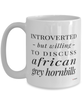 Funny Bird Mug Introverted But Willing To Discuss African Grey Hornbills Coffee Cup 15oz White