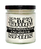 Funny Groundwater Engineer Candle Some Days The Best Thing About Being A Groundwater Engineer is 9oz Vanilla Scented Candles Soy Wax