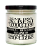 Funny Natural Resources Engineer Candle Some Days The Best Thing About Being A Natural Resources Engineer is 9oz Vanilla Scented Candles Soy Wax