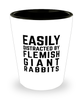 Funny Flemish Giant Rabbit Shot Glass Easily Distracted By Flemish Giant Rabbits