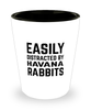 Funny Havana Rabbit Shot Glass Easily Distracted By Havana Rabbits