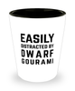 Funny Dwarf Gourami Shot Glass Easily Distracted By Dwarf Gourami