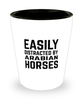 Funny Arabian Horses Shot Glass Easily Distracted By Arabian Horses