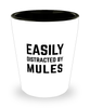 Funny Mules Shot Glass Easily Distracted By Mules