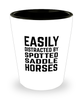 Funny Spotted Saddle Horses Shot Glass Easily Distracted By Spotted Saddle Horses