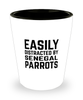 Funny Senegal Parrots Shot Glass Easily Distracted By Senegal Parrots