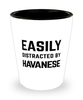 Funny Havanese Shot Glass Easily Distracted By Havanese