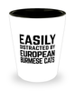 Funny European Burmese Cat Shot Glass Easily Distracted By European Burmese Cats