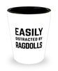 Funny Ragdolls Shot Glass Easily Distracted By Ragdolls