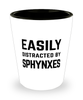 Funny Sphynxes Shot Glass Easily Distracted By Sphynxes