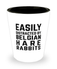 Funny Belgian Hare Rabbit Shot Glass Easily Distracted By Belgian Hare Rabbits