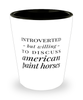 Funny Horse Shot Glass Introverted But Willing To Discuss American Paint Horses