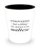 Funny Dog Shot Glass Introverted But Willing To Discuss Maltese