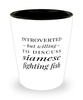 Funny Fish Shot Glass Introverted But Willing To Discuss Siamese Fighting Fish