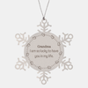 Gifts for Grandma, I am so lucky to have you in my life, Thank You Snowflake Ornament For Grandma, Birthday Christmas Inspiration Gifts for Grandma