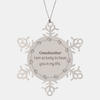 Gifts for Grandmother, I am so lucky to have you in my life, Thank You Snowflake Ornament For Grandmother, Birthday Christmas Inspiration Gifts for Grandmother