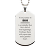 Moving to Idaho Gifts, Reminder that life is full of new beginnings, Idaho Christmas Friendship Silver Dog Tag For Men, Women, Friends, Coworkers