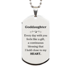 Cute Goddaughter Gifts, Every day with you feels like a gift, Lovely Goddaughter Silver Dog Tag, Birthday Christmas Unique Gifts For Goddaughter