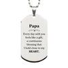 Cute Papa Gifts, Every day with you feels like a gift, Lovely Papa Silver Dog Tag, Birthday Christmas Unique Gifts For Papa