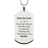 Cute Son In Law Gifts, Every day with you feels like a gift, Lovely Son In Law Silver Dog Tag, Birthday Christmas Unique Gifts For Son In Law