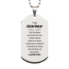 To My Little Sister Gifts, I thank you from the bottom of my heart, Thank You Silver Dog Tag For Little Sister, Birthday Christmas Cute Little Sister Gifts