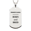 Proud Pennsylvania Gifts, Born and bred, Pennsylvania State Christmas Birthday Silver Dog Tag For Men, Women, Friends