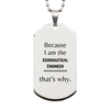 Funny Aeronautical Engineer Gifts, Because I am the Aeronautical Engineer, Appreciation Gifts for Aeronautical Engineer, Birthday Silver Dog Tag For Men, Women, Friends