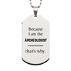 Funny Archeologist Gifts, Because I am the Archeologist, Appreciation Gifts for Archeologist, Birthday Silver Dog Tag For Men, Women, Friends