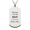 Funny Bailiff Gifts, Because I am the Bailiff, Appreciation Gifts for Bailiff, Birthday Silver Dog Tag For Men, Women, Friends
