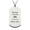 Funny CFO Gifts, Because I am the CFO, Appreciation Gifts for CFO, Birthday Silver Dog Tag For Men, Women, Friends