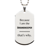 Funny Groundskeeper Gifts, Because I am the Groundskeeper, Appreciation Gifts for Groundskeeper, Birthday Silver Dog Tag For Men, Women, Friends