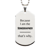 Funny Sonographer Gifts, Because I am the Sonographer, Appreciation Gifts for Sonographer, Birthday Silver Dog Tag For Men, Women, Friends