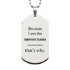 Funny Substitute Teacher Gifts, Because I am the Substitute Teacher, Appreciation Gifts for Substitute Teacher, Birthday Silver Dog Tag For Men, Women, Friends